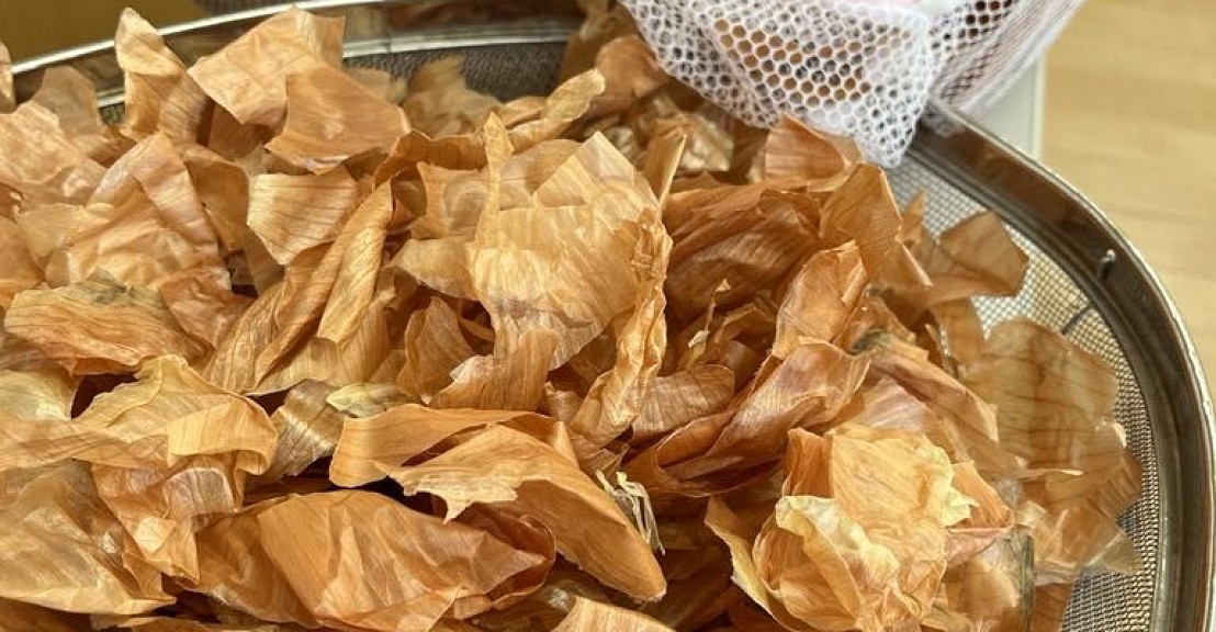 玉葱の薄皮