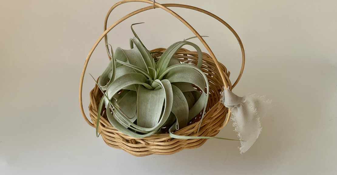 ハンギング　横