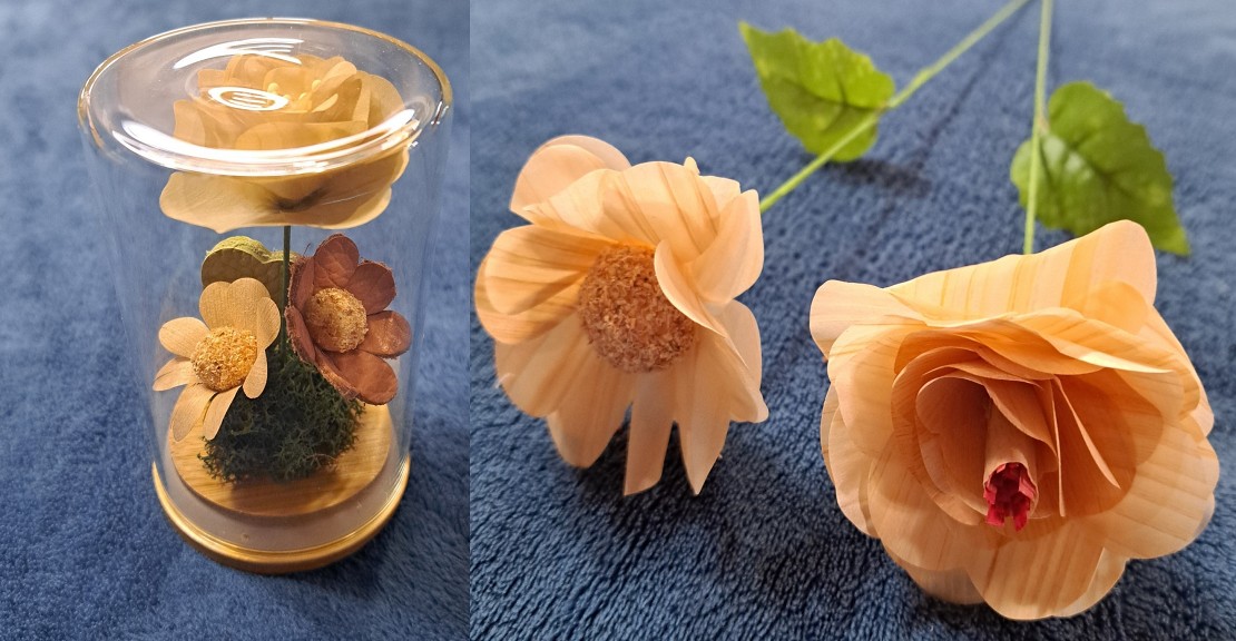 木の花メインにどうですか？