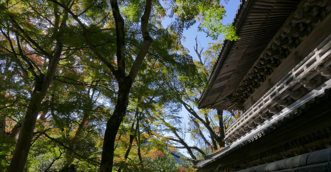 秋の永源寺3