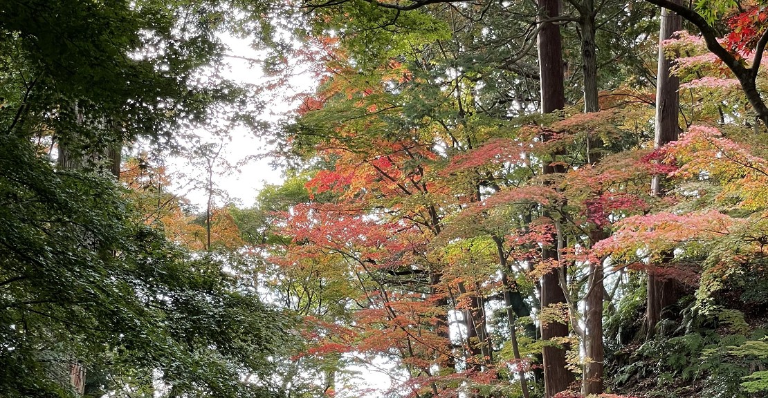境内の自然を感じる癒しの時間