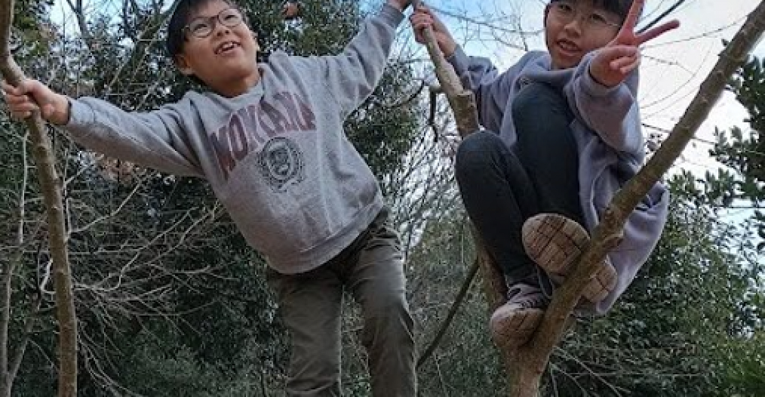 森遊び②