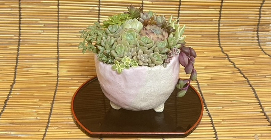 信楽焼の鉢　撮り直し２