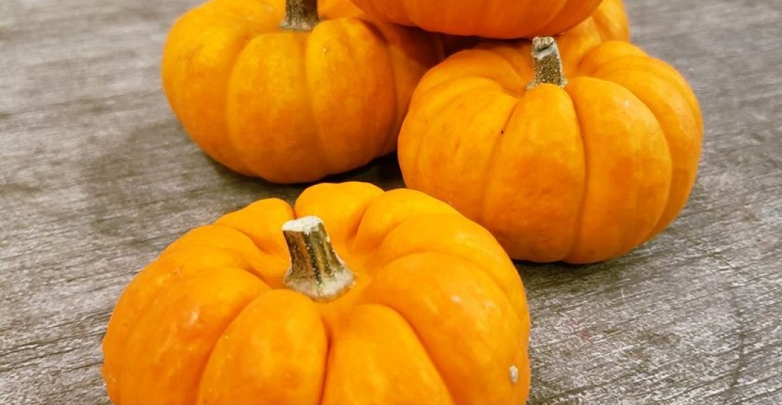 ハロウィンなので気分はパンプキン