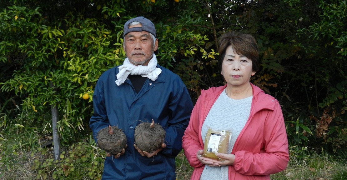 こんにゃく６