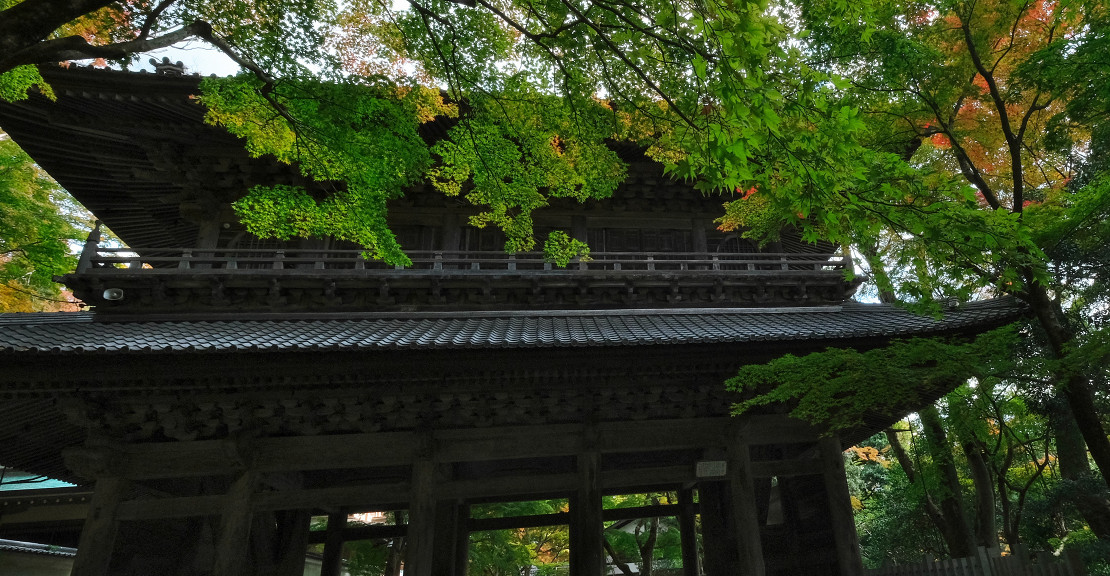 境内2