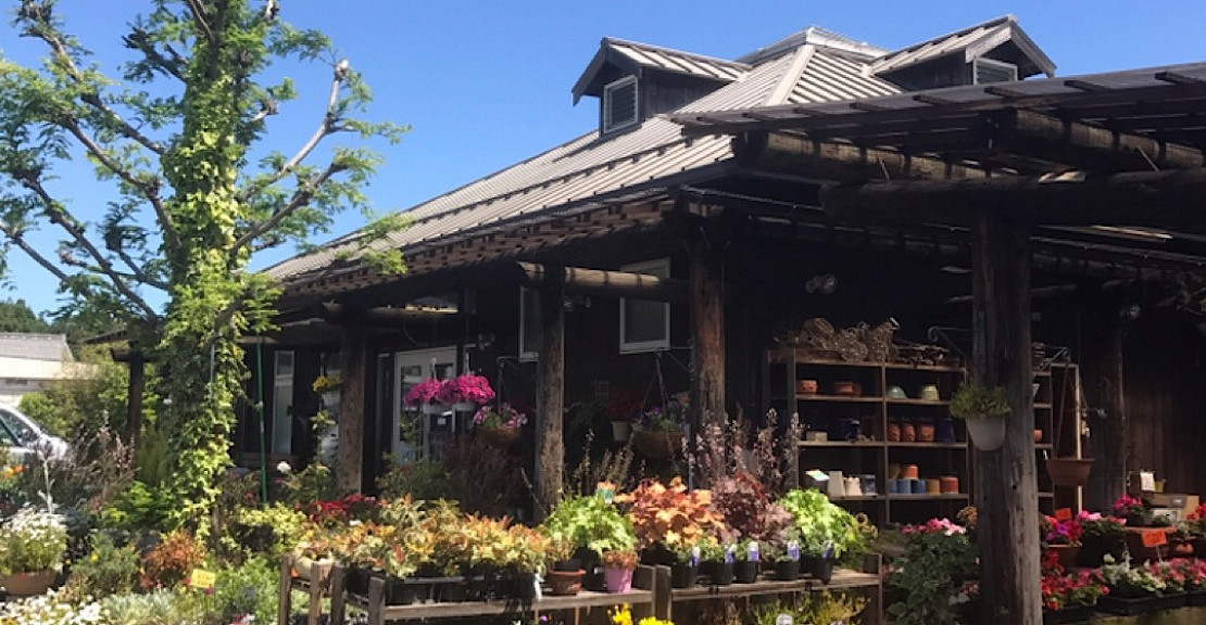 のどかな田園風景の中にたたずむ、生花園芸店です。フラワーギフトやご家庭で楽しんでいただける植物を中心に、日々の生活に癒しを与えてくれる植物をご提案させていただきます。また、店頭でマルシェイベントも開催しております。