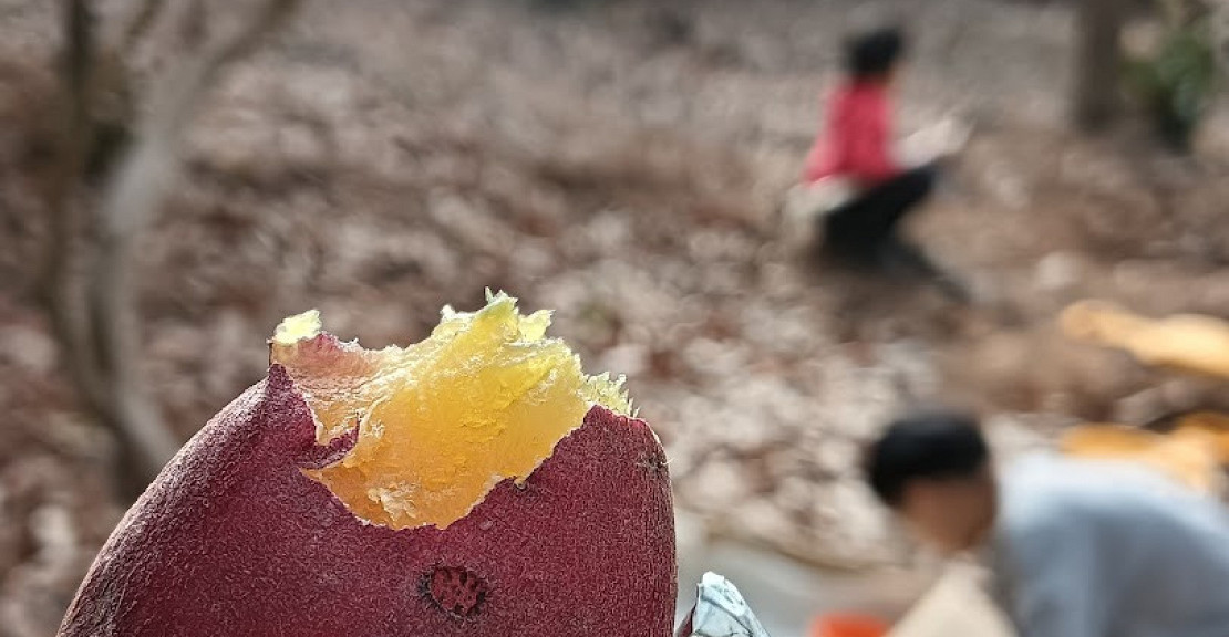 焼き芋