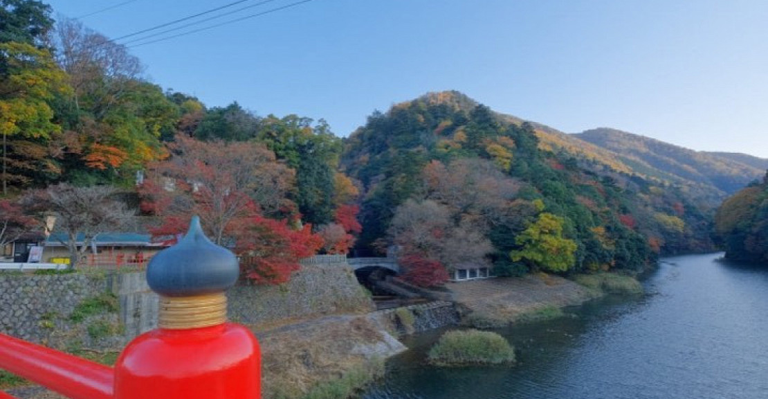 秋の永源寺2